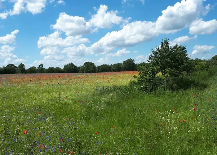 Ostwind Apartament Hohenfelde (Plon)