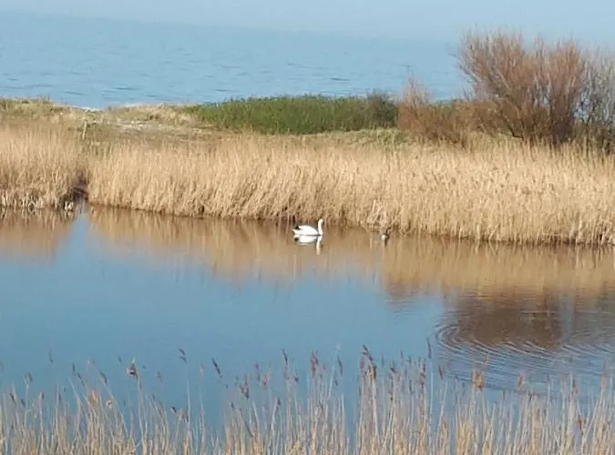 Apartament Ostwind Hohenfelde (Plon)